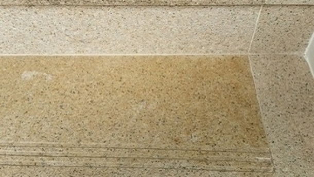 no-rug-3-antes