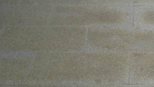no-rug-1-antes